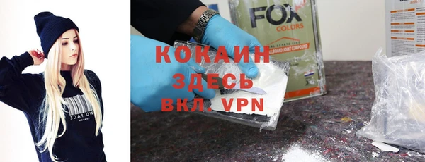 соль ск Алзамай