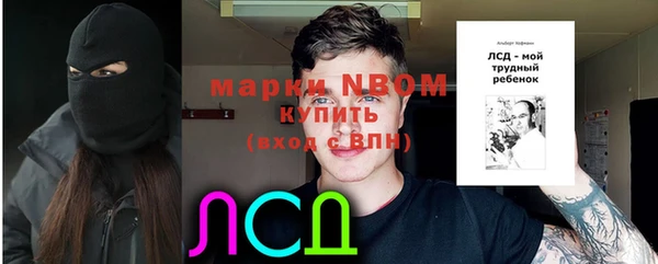 соль ск Алзамай